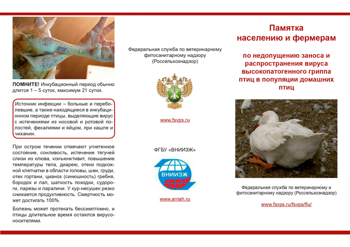 Памятка населению и фермерам по недопущению заноса и распространения вируса высокопатогенного гриппа птиц в популяции домашних птиц.