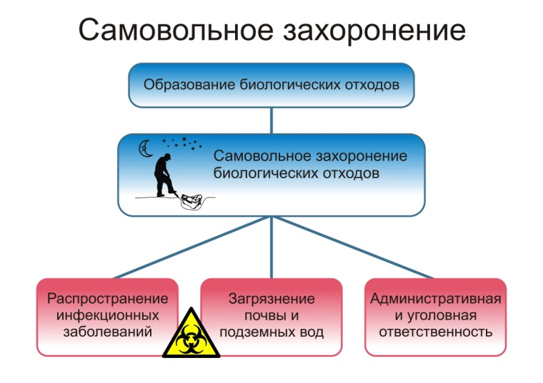 П А М Я Т К А  О неотложных действиях при заболевании и/или падеже животных, и правилах безопасного обращения с биологическими отходами.