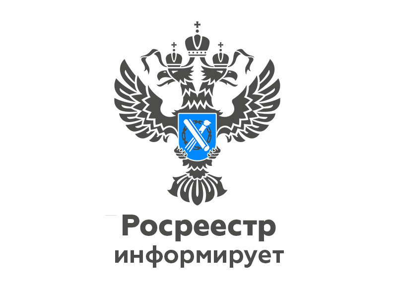 Выявлен факт самовольного занятия земель лесного фонда.